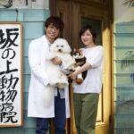 【僕とシッポと神楽坂】恋する芸者すず芽!趣里とコウ先生の出会い!