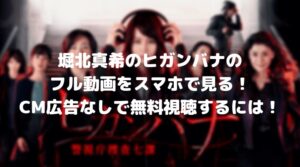堀北真希のヒガンバナのフル動画をスマホで見る！CM広告なしで無料視聴するには