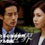 松嶋菜々子の氷の世界のフル動画をスマホで見る!CM広告なしで無料視聴するには!