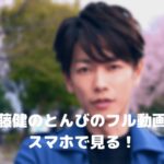 佐藤健のとんびのフル動画をスマホで見る!CM広告なしで無料視聴するには!