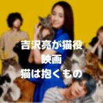 吉沢亮の映画「猫は抱くもの」のフル動画をスマホで見る!猫役をCM広告なしで無料視聴するには!