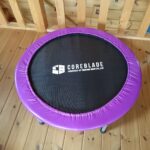 「トランポリンダイエット」効果 5分でジョギング1kmを検証