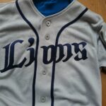 ライオンズ ベースボールスクールの合宿や月謝と良かった5つの口コミ