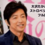 大沢たかおの映画ストロベリーナイトのフル動画を無料安全に見る方法!スマホでCM広告なし!