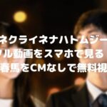 三浦春馬のアイネクライネナハトムジークのフル動画をスマホで見る!CM広告なしで無料視聴するには!