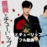 ジュノの薔薇とチューリップのフル動画をスマホで見る!2PMをCM広告なしで無料視聴するには!
